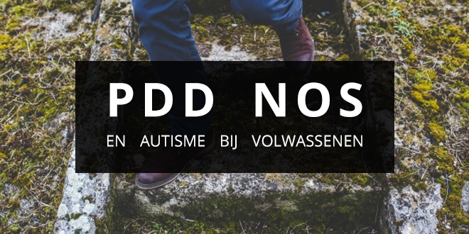 PDD-NOS en autisme bij Volwassenen - Gedragsproblemen.com